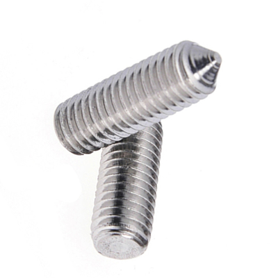 Roestvrij staal 304 M3 M4 M5 M6 M8 M10 M12 koploze stopcontact schroef met schroefkop