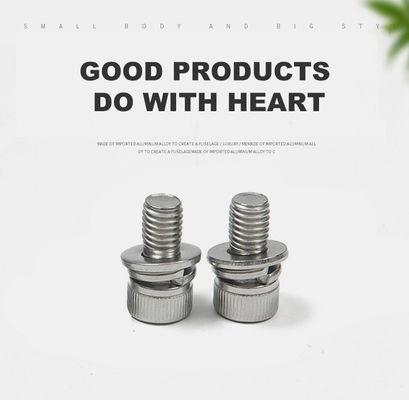 M6 Roestvrij staal DIN912 Standard Hexagon Socket Head Schroef met veer en wasmachine