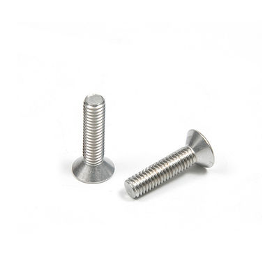 Direct roestvrij staal M4 M5 M6 M8 platte stopcontact schroefkop en langdurig