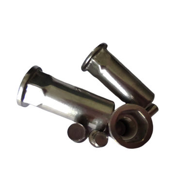 Roestvrij staal platte kop semi-hex gesloten punt rietennoot voor automobiel Cadmium geplaatst