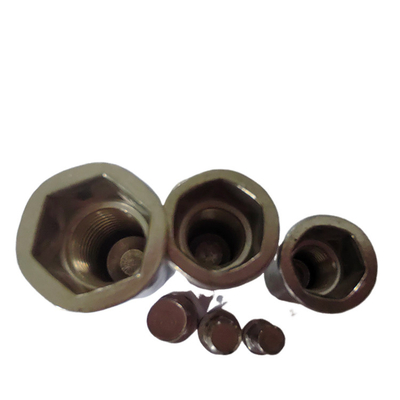 Japanse markt DIN Standard Flat Head Semi-Hex Closed End Threaded Rivet Nut voor huishoudelijke apparaten