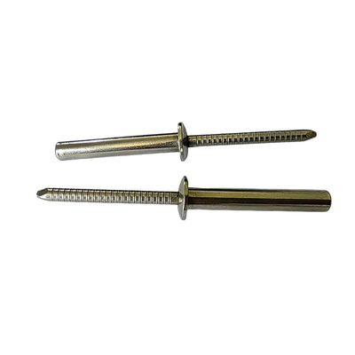 DIN-standaard corrosiebestendig gesloten eind roestvrij staal ronde kop blinde klinker