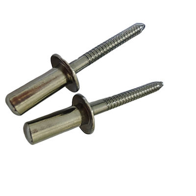 Zware en gesloten eind roestvrij staal ronde kop blinde klinker met DIN-standaard