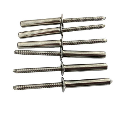 Weerbestendige roestvrij staal tegenzinken blinde klinknagel verzegeld voor eind tijdige levering