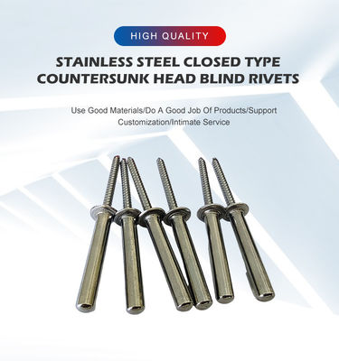 3.2mm/4.0mm/4.8mm/6.4mm Roestvrij staal tegenzinken blinde klinknagel in heldere afwerking