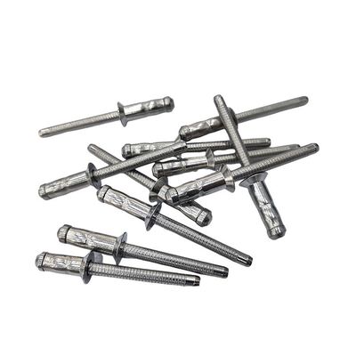 Structurele klinkers van roestvrij staal blinde klinkerskoepelkop platte kop met ongecoate afwerking