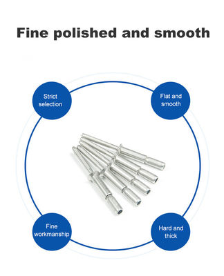 Open einde roestvrij staal blinde klinker plat hoofd vlakke afwerking SS304 SS316 Structurele