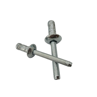 2024 Carbon Steel Blind Rivet met Control Test Report 4.8mm Dome Head en Competitive