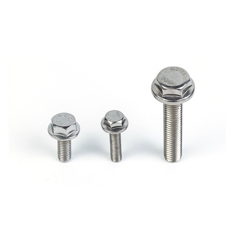 Gepersonaliseerde 304 316 A2 A4 Hex Flange Titanium Machine Thread Bolt voor roestvrij staal
