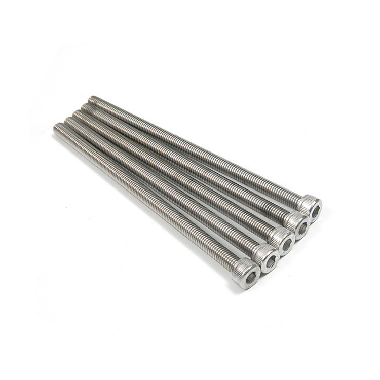 DIN912 roestvrij staal M6 M8 M10 M12 M14 M16 M18 M20 HEX Socket Head Allen Sleutelbout