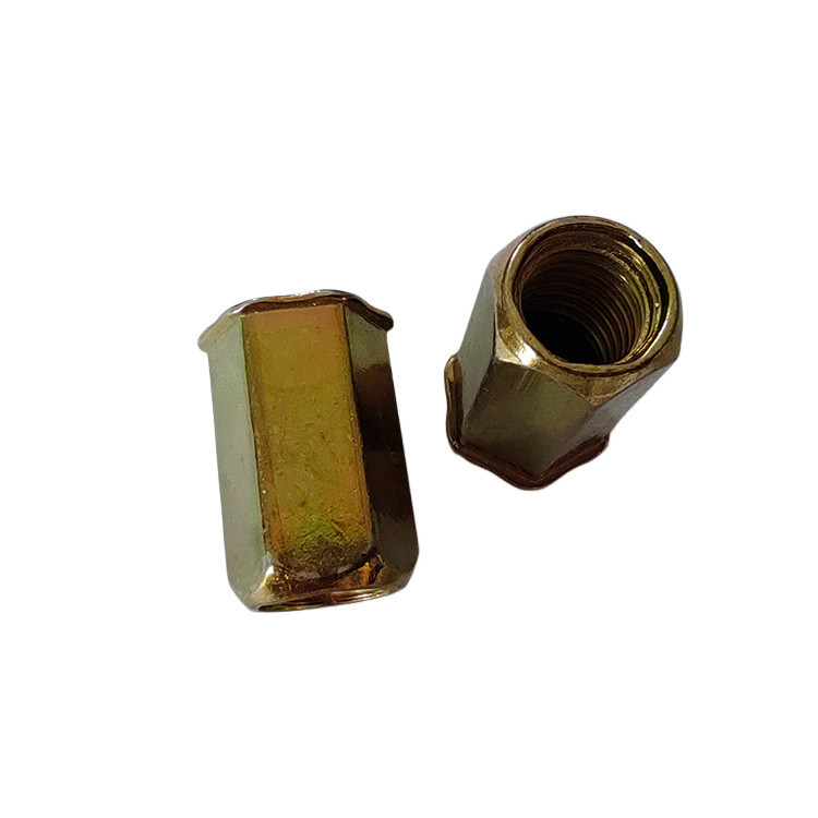 4.8 Zinkkwaliteit geel-chromeerd geplatte full hex rivet nut voor toepassingen op kleine hoofden