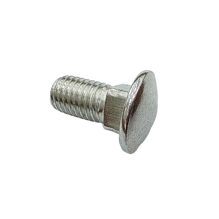 DIN603 Standard Flat Head Bucket Elevator Carriage Bolt voor architectuur Testrapport