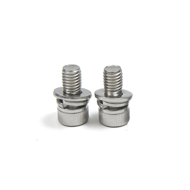 Verzameling van roestvrij staal 304 316 DIN912 Hex Socket Head Screw met Flat Washer en Spring Washer