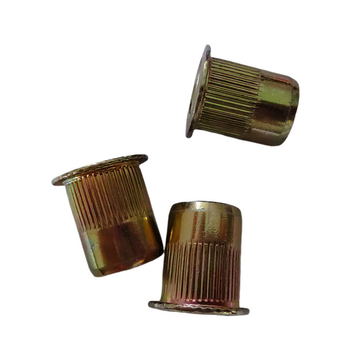 Hoogsterke gele zinkgeplatte koolstofstaal met draad open rietennoot met ronde kop