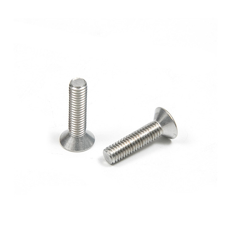 Direct roestvrij staal M4 M5 M6 M8 platte stopcontact schroefkop en langdurig