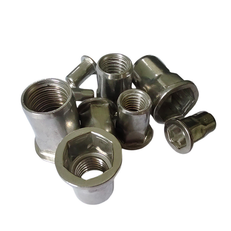 Flat Head Semi-Hex Blind Rivet Nut voor automotive OEM in de gezondheidszorg