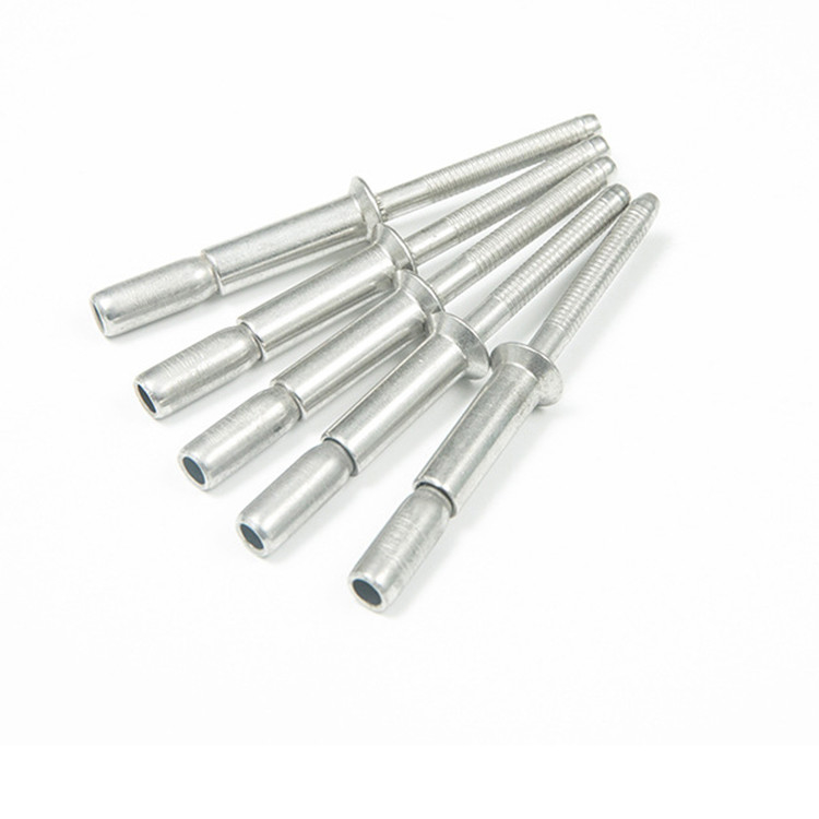 Plain Finish Roestvrij staal 304 Gesloten Ronde Kop Zelf Plugging Cup Type Blind Rivet