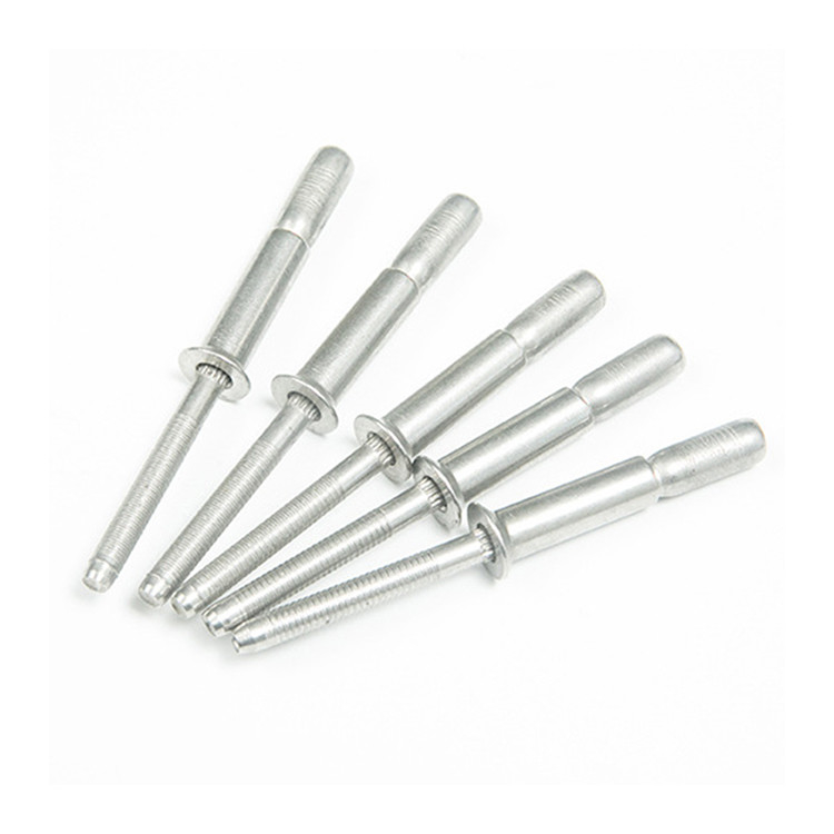 Zilveren 2024 4.8 6.4mm Dome Head Roestvrij staal Structurele Multigrip Blind Rivets