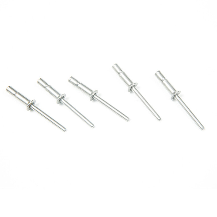 Roestvrij staal Afwerking Plain Countersunk Head Cup Type Draw Circular Ring Mandrel Blind