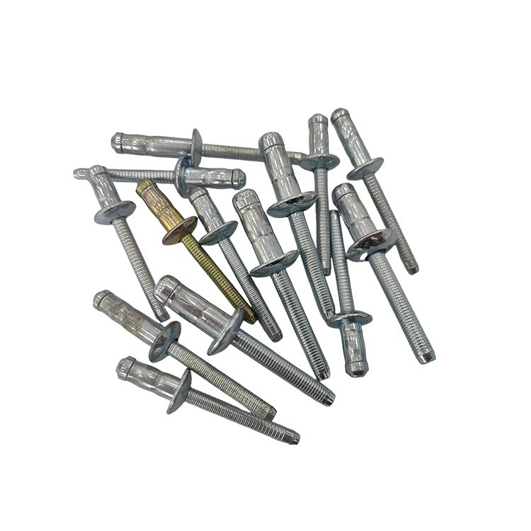 2024 Carbon Steel Blind Rivet met Control Test Report 4.8mm Dome Head en Competitive